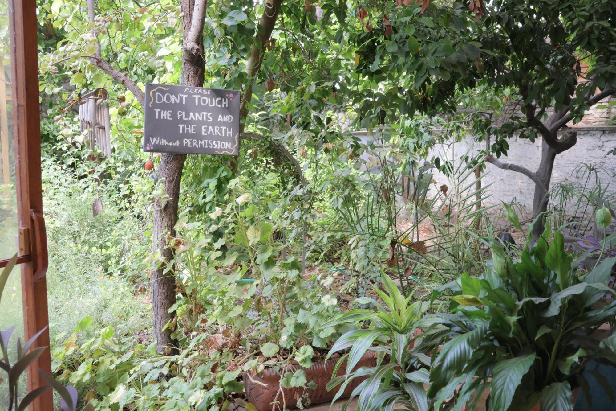 Lotus Garden Hostel İzmir Buitenkant foto